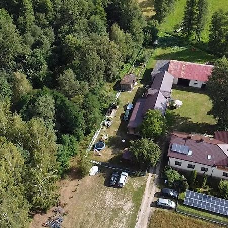 Maciejowka Gospodarstwo Agroturystyczne Poddebice Εξωτερικό φωτογραφία