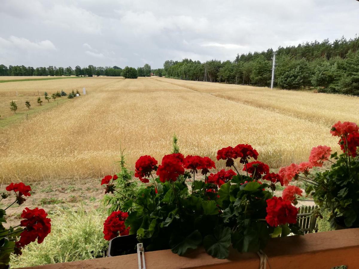 Maciejowka Gospodarstwo Agroturystyczne Poddebice Εξωτερικό φωτογραφία